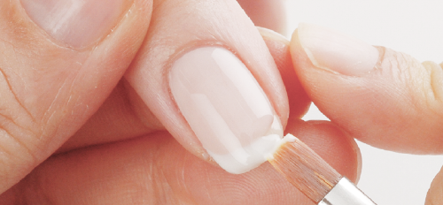 カルジェルコース