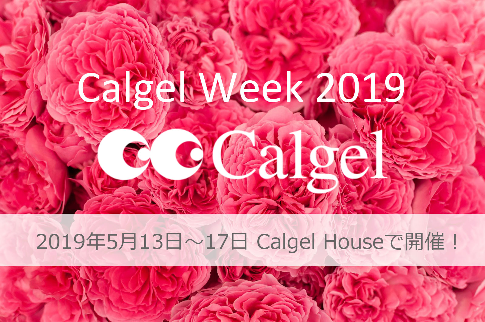 カルジェルウィーク5月