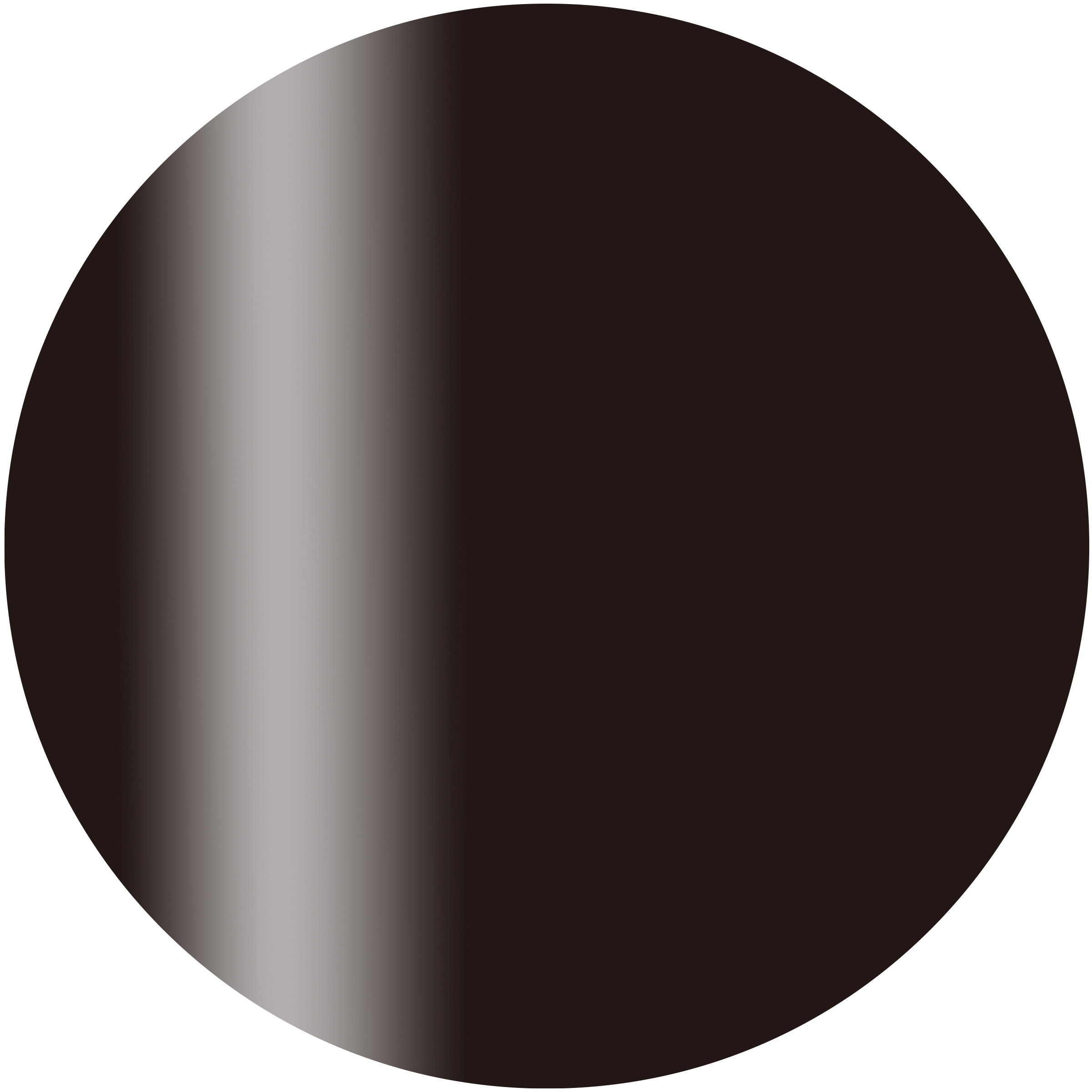 CGM01BK カラーカルジェル プラス　ソリッドブラック 2.5g