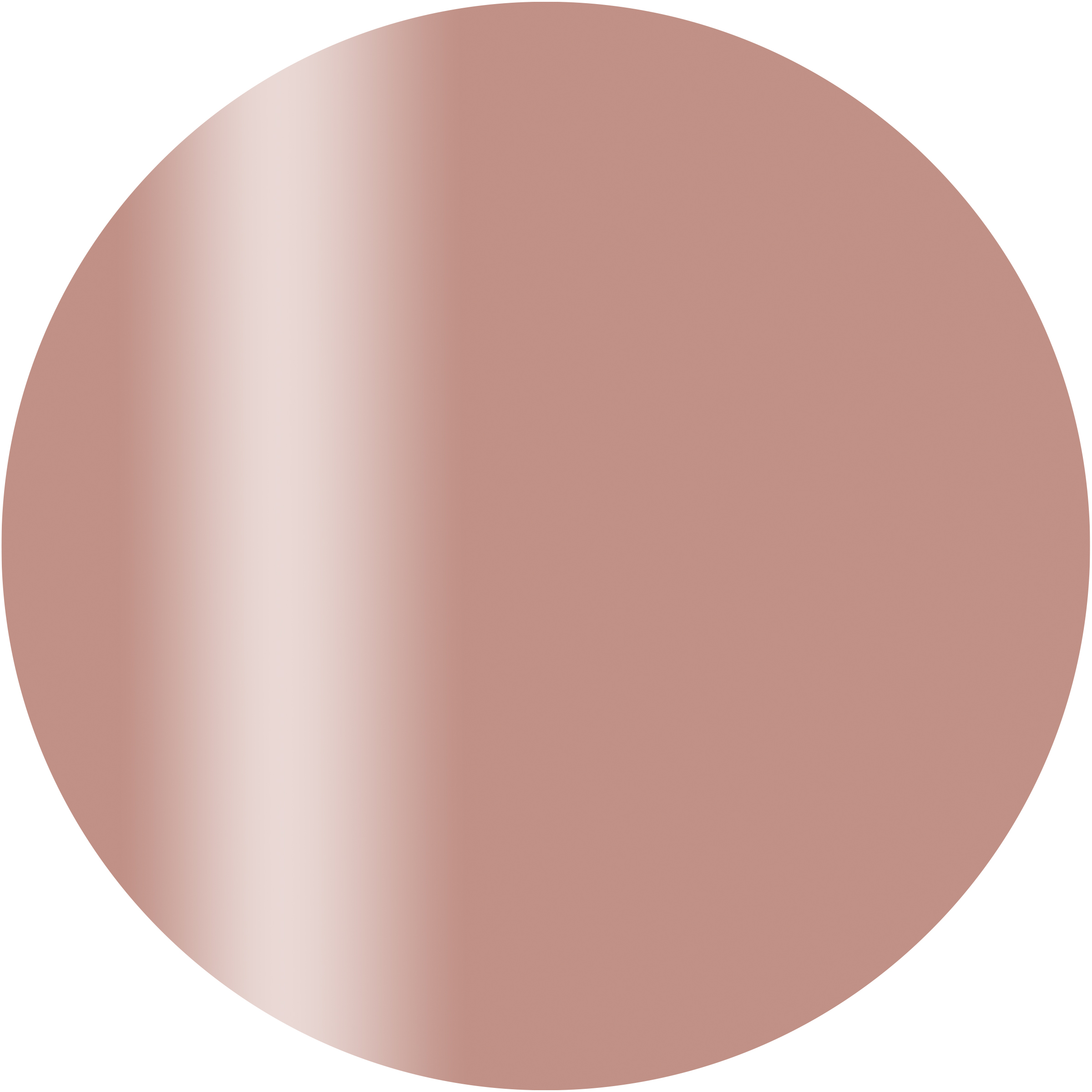 CGS02BR カラーカルジェル プラス ブラージュ 2.5g