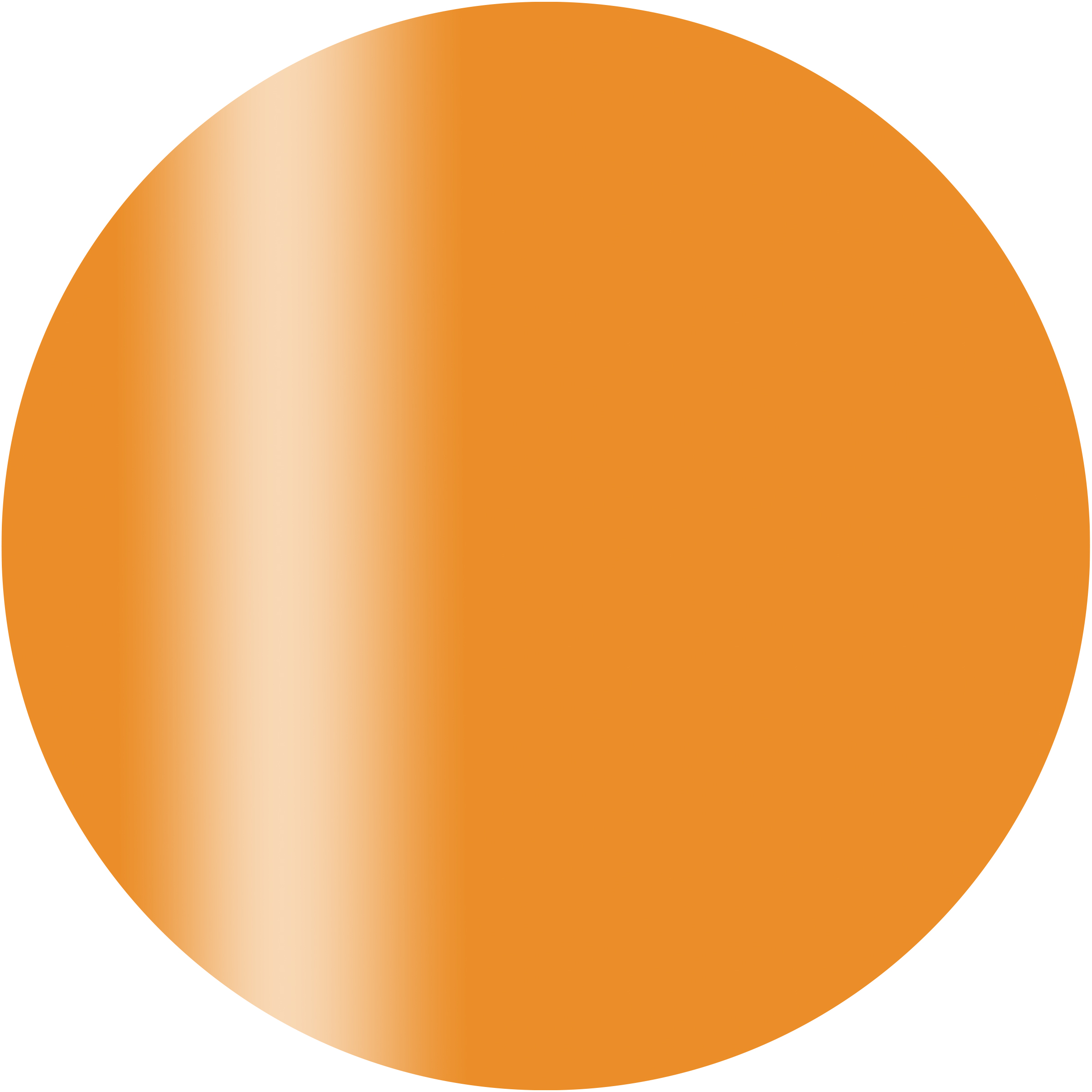 CGS01OR カラーカルジェル プラス シアーオレンジ 2.5g