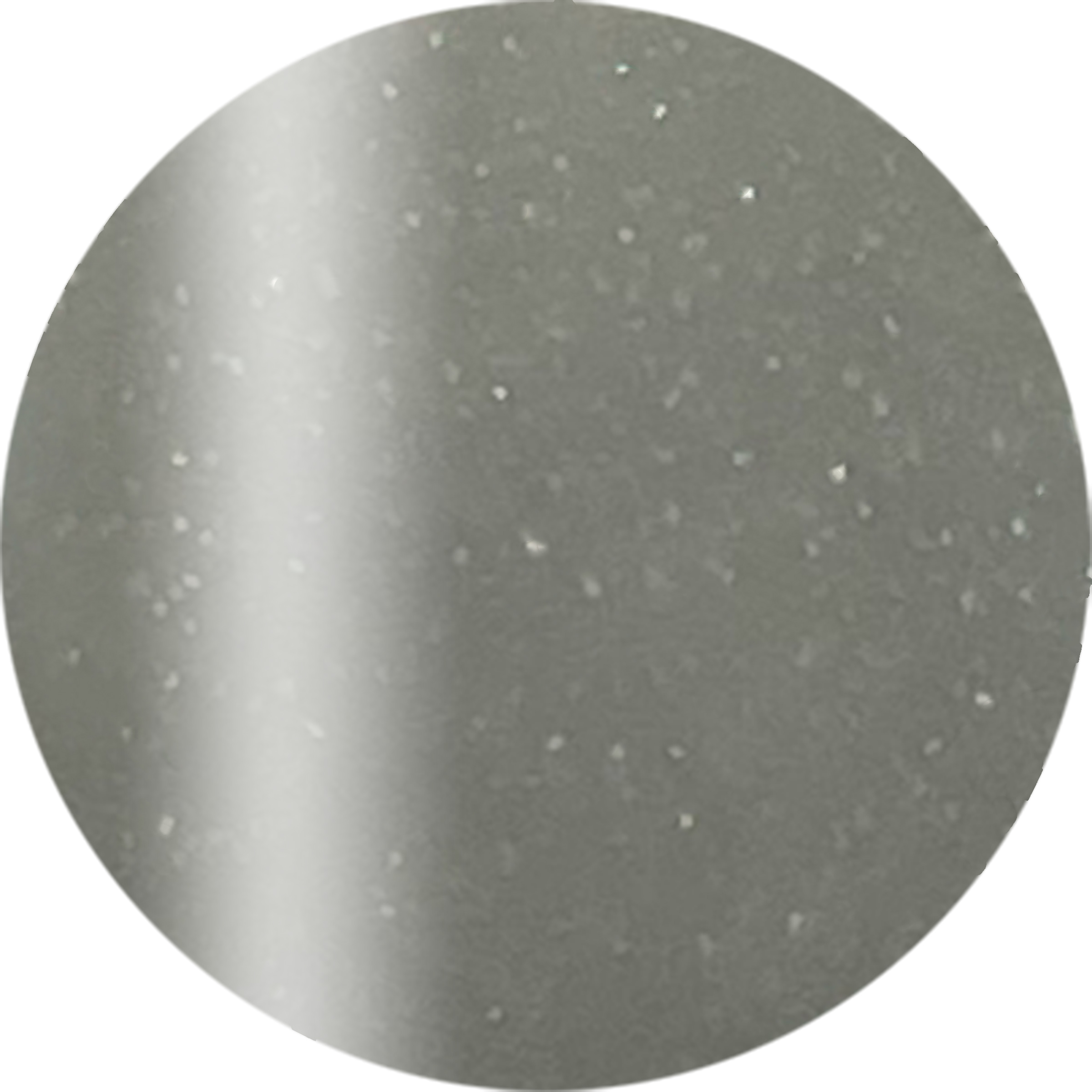 CGG04BK カラーカルジェル プラス　シャインブラック 2.5g