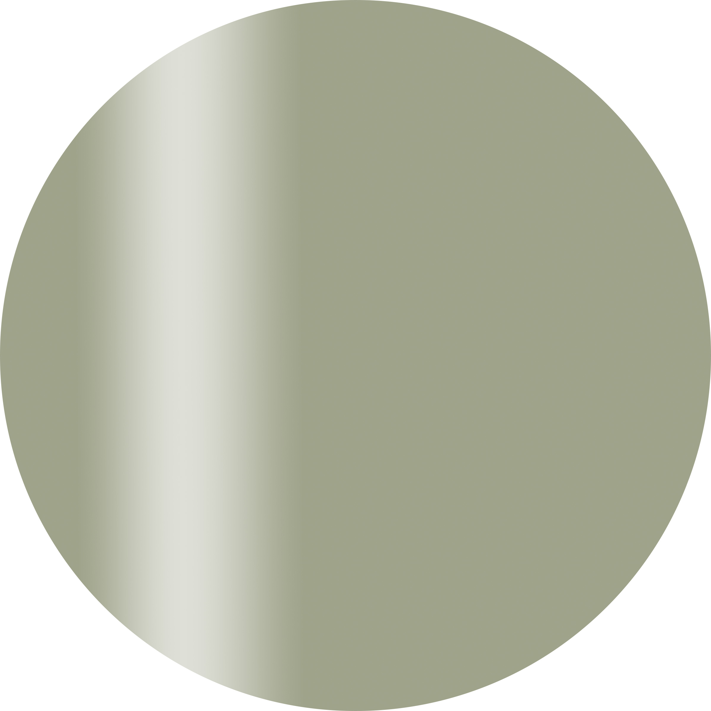 CGM08GR カラーカルジェル プラス　グレイッシュリーフ 2.5g