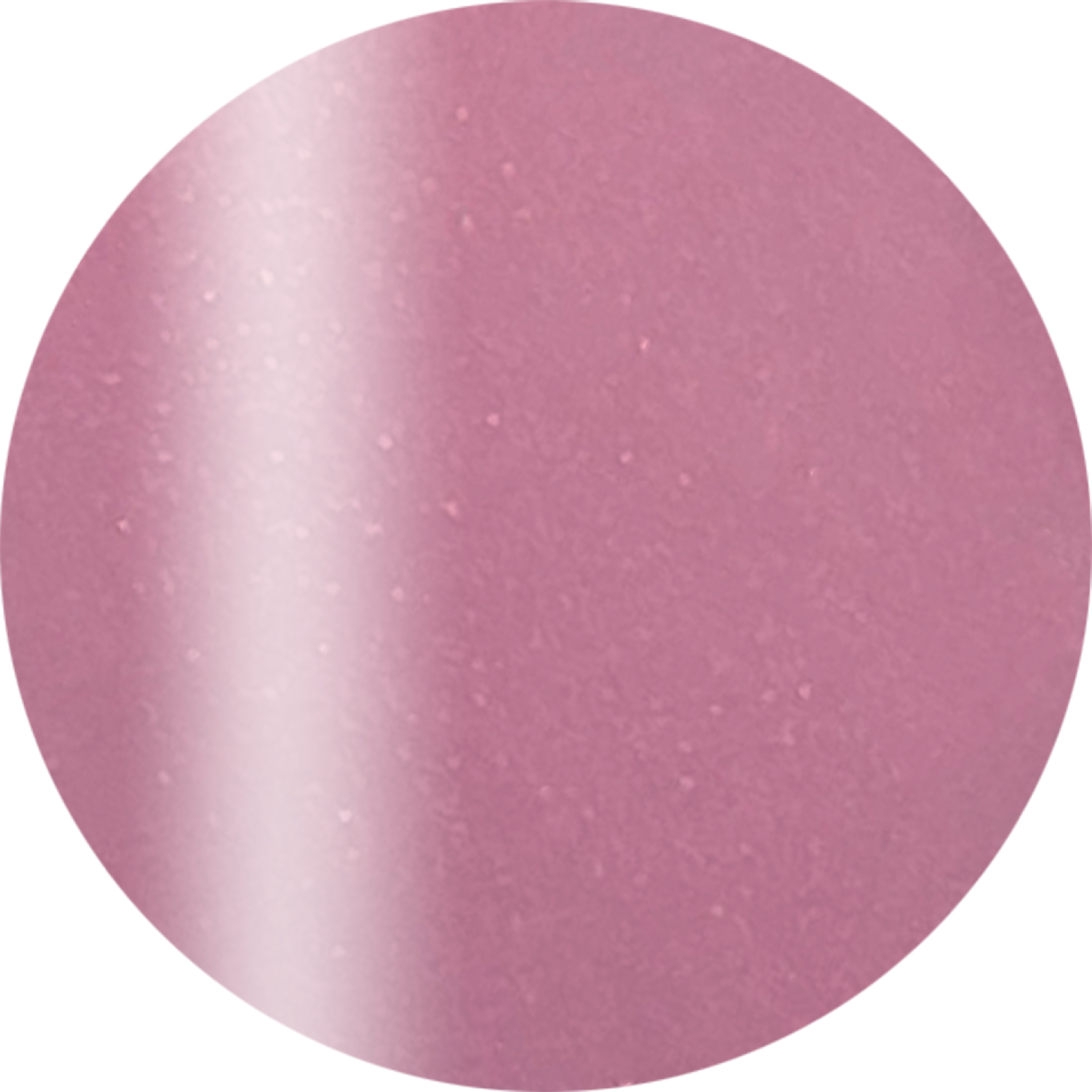 CGP05PU カラーカルジェル プラス　シャインラズベリー 2.5g